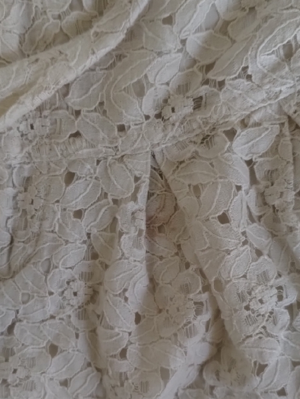 Free People Cream Lace Overlay Women's Shorts - Picture 11 of 16